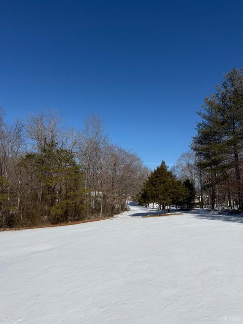 Tiny photo for 1238 Jopling Road, Bedford, VA 24523 (MLS # 364400)