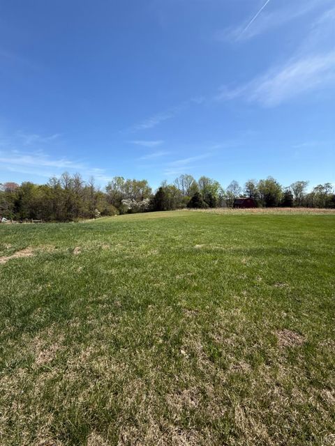 Tiny photo for 129 Ned Brown Road, Amherst, VA 24521 (MLS # 365619)