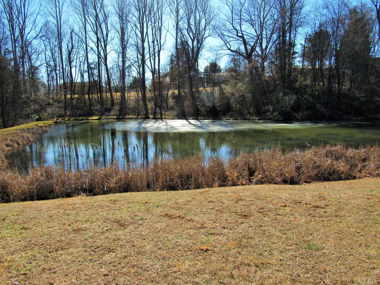 Cedar Street, Amherst, Virginia image 2