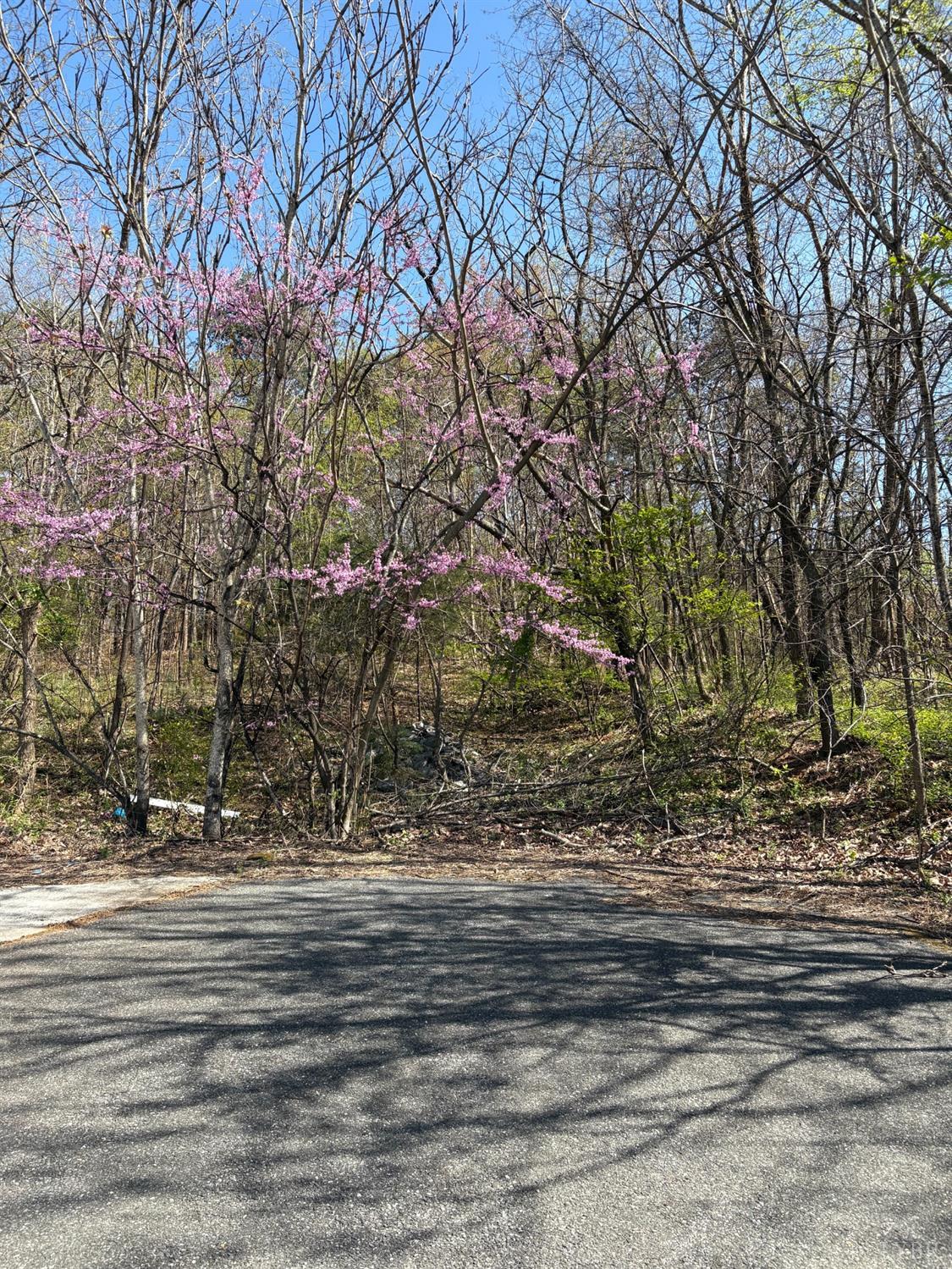 5935 Wards Road, Evington, Virginia image 4