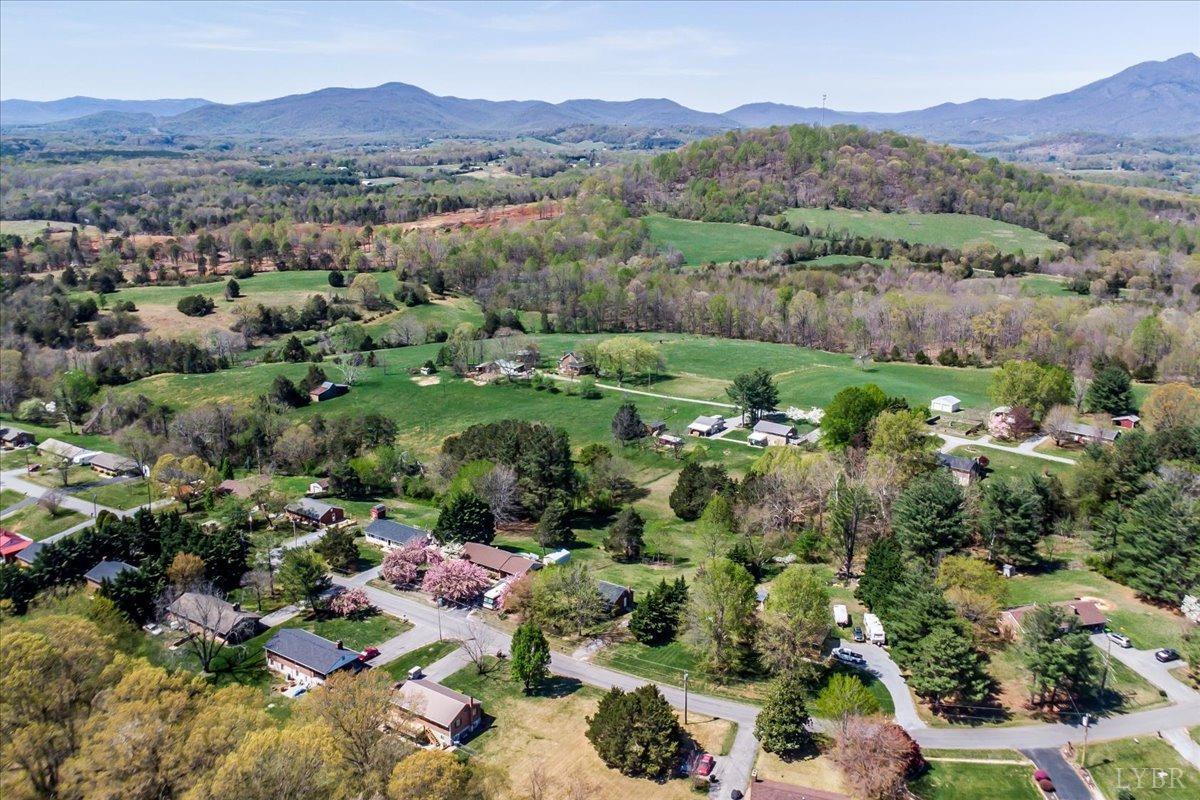 3012 Sleepy Ridge Drive, Bedford, Virginia image 28