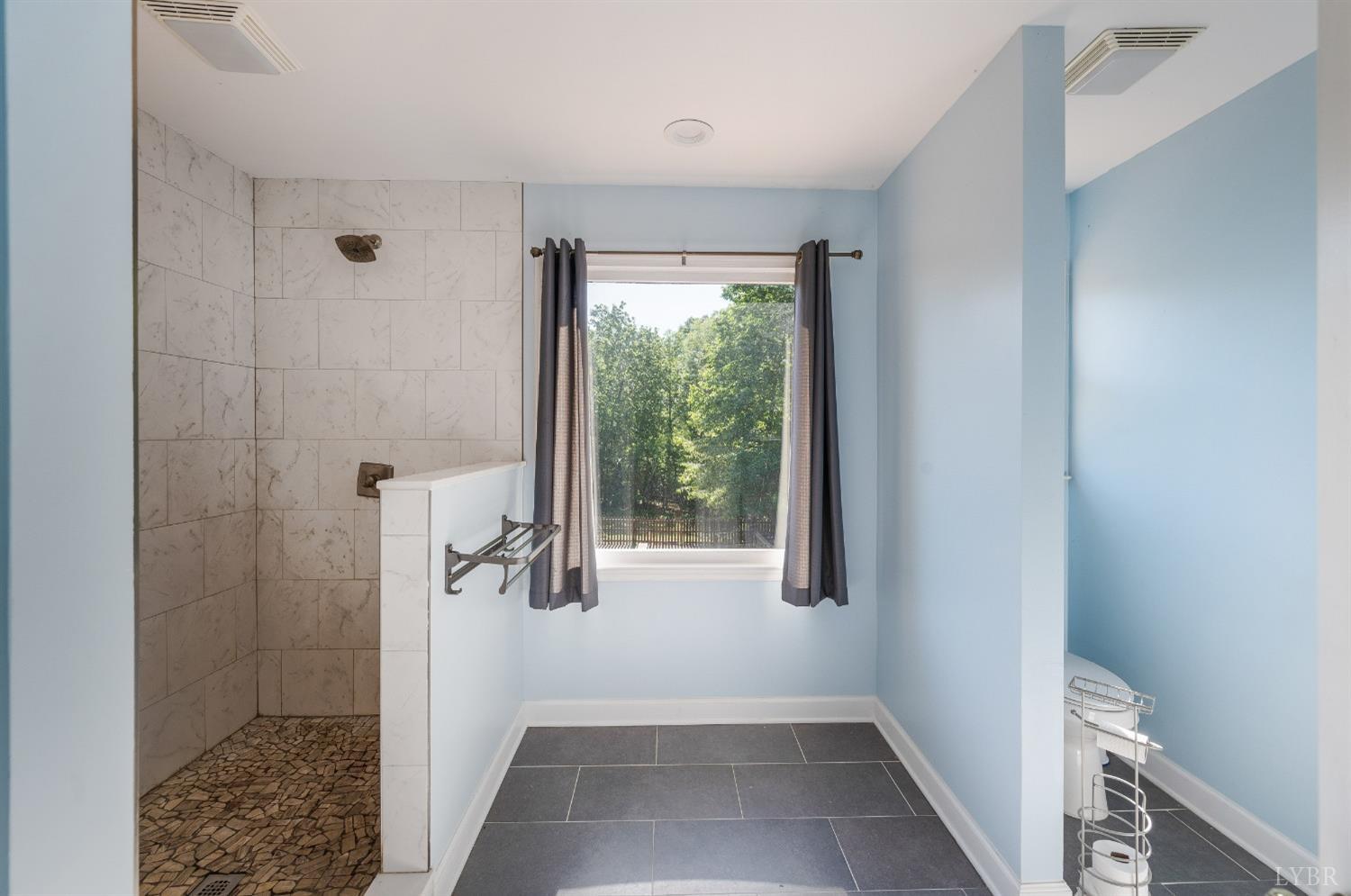 1068 Huckleberry Lane, Lynchburg, Virginia image 32
