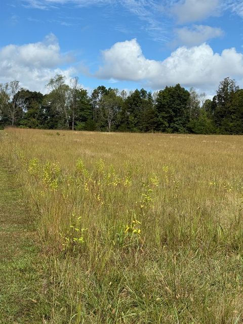 Tiny photo for 0 Smith Mountain Lake Parkway, Huddleston, VA 24104 (MLS # 362337)