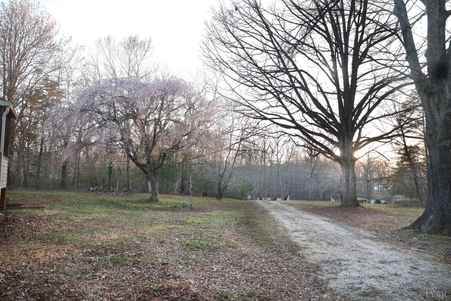 683 Morning Star Road, Appomattox, Virginia image 37