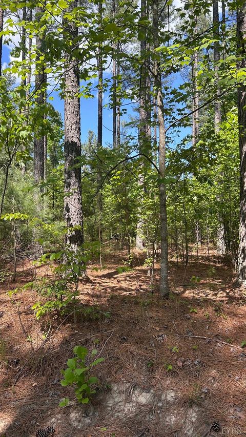 Tiny photo for 2 Foxfire Lane, Bedford, VA 24523 (MLS # 366484)
