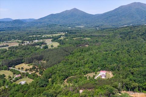 Tiny photo for 2 Foxfire Lane, Bedford, VA 24523 (MLS # 366484)
