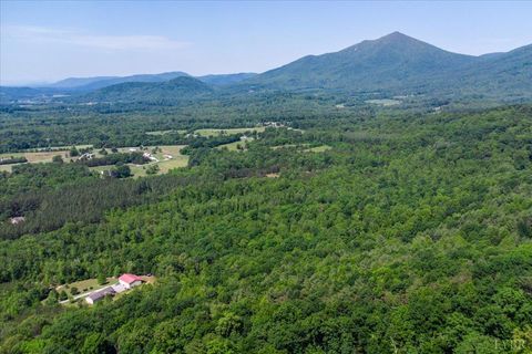 Tiny photo for 2 Foxfire Lane, Bedford, VA 24523 (MLS # 366484)
