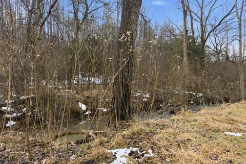 Tiny photo for 1194 Pumping Station Rd, Spout Spring, VA 24522 (MLS # 364520)