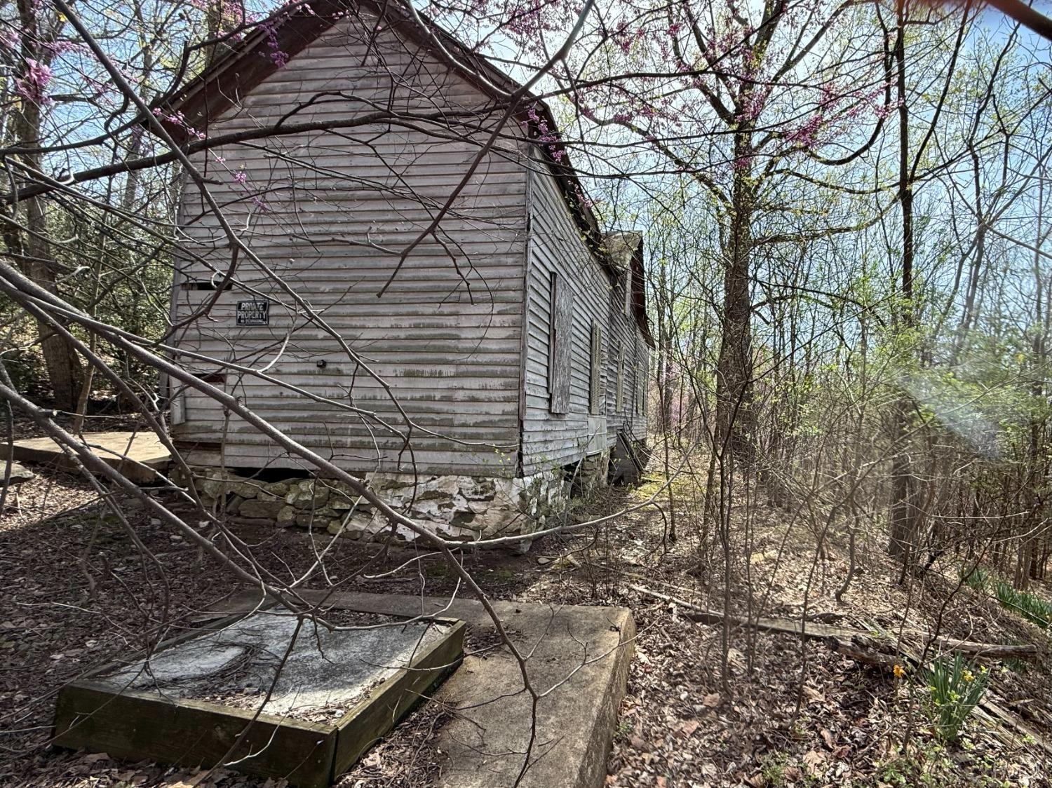 Murray Hollow Road, Thaxton, Virginia image 4