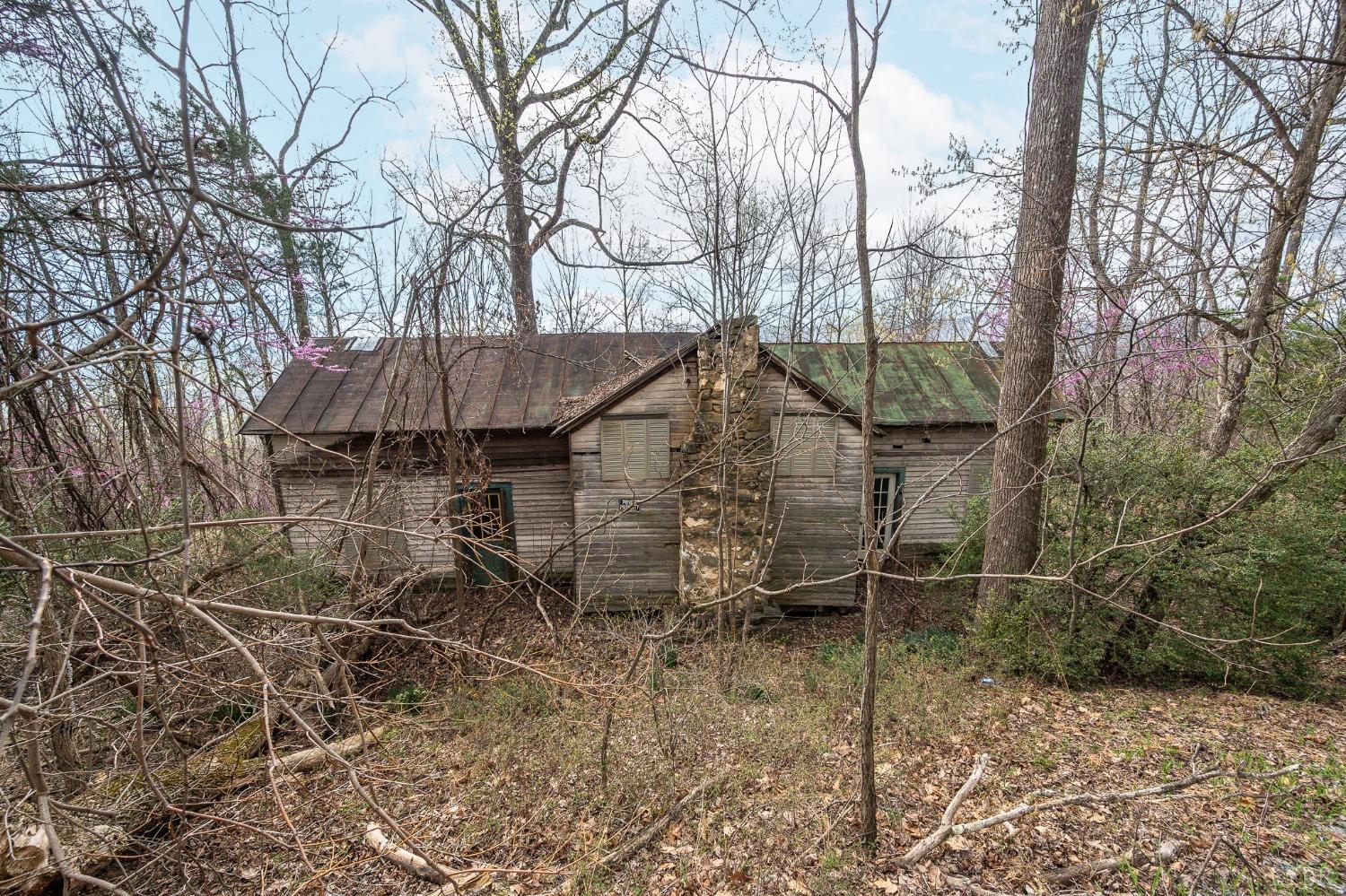 Murray Hollow Road, Thaxton, Virginia image 3