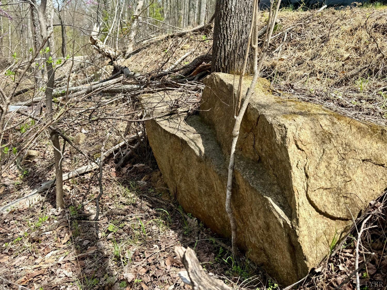 Murray Hollow Road, Thaxton, Virginia image 6