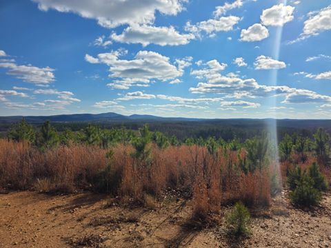 Tiny photo for 0 Norwood Road, Gladstone, VA 24553 (MLS # 363393)