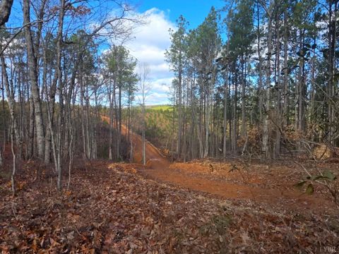 Tiny photo for 0 Norwood Road, Gladstone, VA 24553 (MLS # 363393)