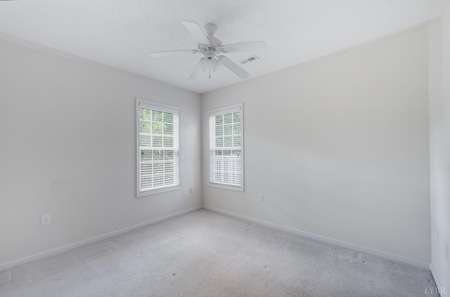 1159 Jefferson Way, Forest, Virginia image 29