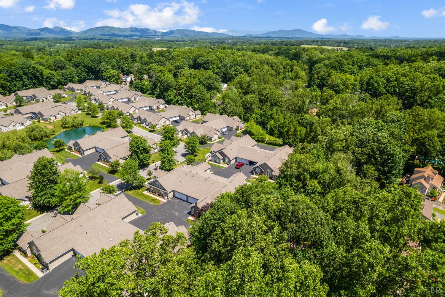 1159 Jefferson Way, Forest, Virginia image 43