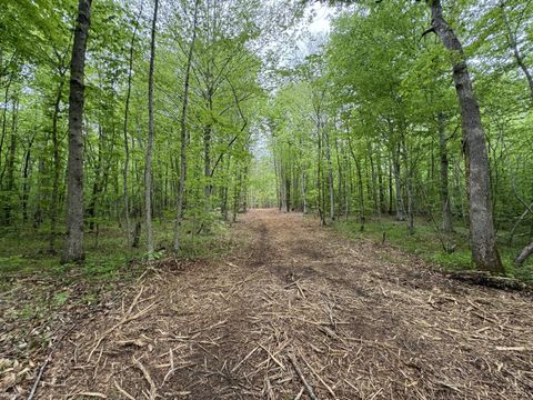 Tiny photo for 0 Hollywood Road, Appomattox, VA 24522 (MLS # 366413)