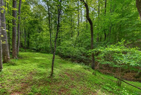 Tiny photo for 1249 Cedar Gate rd. RD, Monroe, VA 24574 (MLS # 366330)