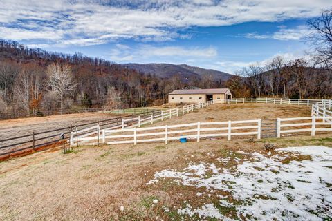 Tiny photo for 150 Terrapin Station Lane, Monroe, VA 24574 (MLS # 363555)