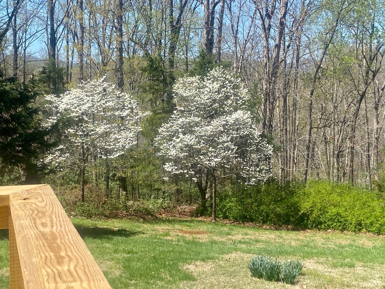 143 Lake Drive, Amherst, Virginia image 30