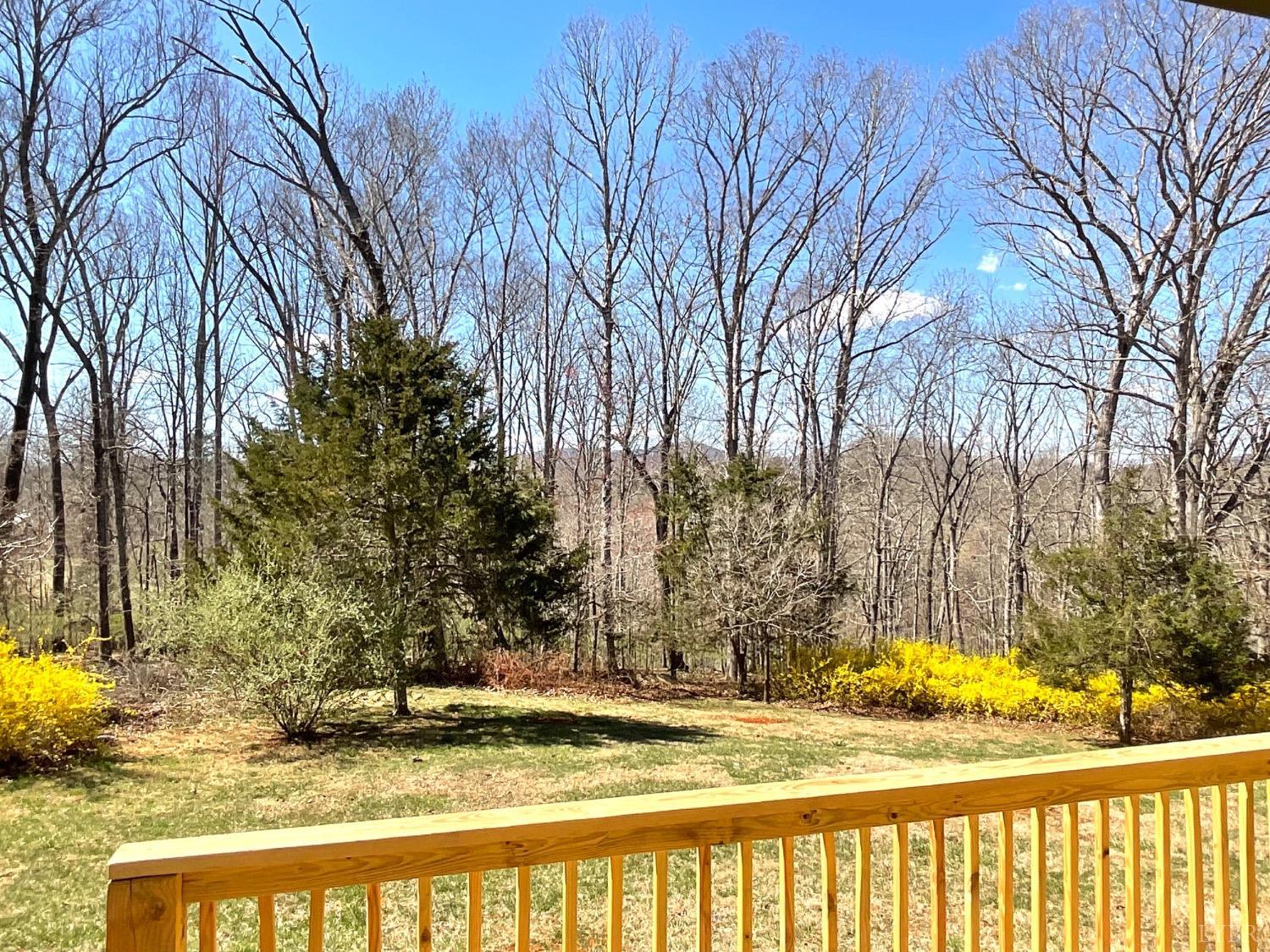143 Lake Drive, Amherst, Virginia image 24