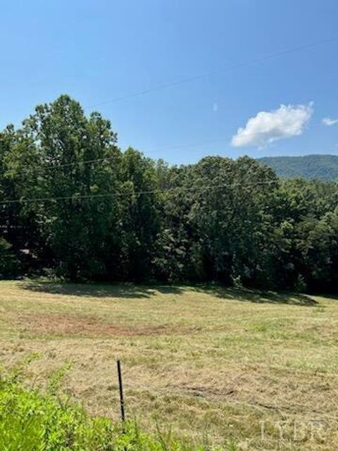 Tiny photo for 0 Coopers Cove Road, Hardy, VA 24101 (MLS # 363714)