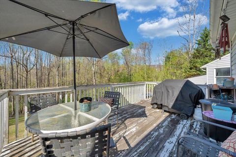 Tiny photo for 105 Cherokee Lane, Thaxton, VA 24174 (MLS # 365536)