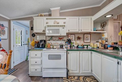 Tiny photo for 105 Cherokee Lane, Thaxton, VA 24174 (MLS # 365536)