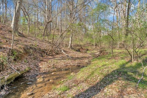 Tiny photo for 105 Cherokee Lane, Thaxton, VA 24174 (MLS # 365536)