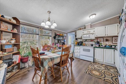 Tiny photo for 105 Cherokee Lane, Thaxton, VA 24174 (MLS # 365536)