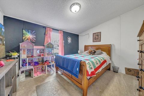 Tiny photo for 105 Cherokee Lane, Thaxton, VA 24174 (MLS # 365536)