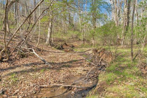 Tiny photo for 105 Cherokee Lane, Thaxton, VA 24174 (MLS # 365536)