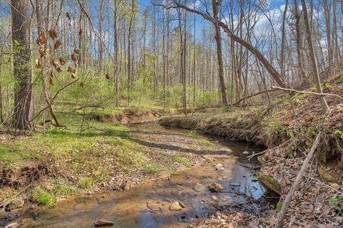 Tiny photo for 105 Cherokee Lane, Thaxton, VA 24174 (MLS # 365536)