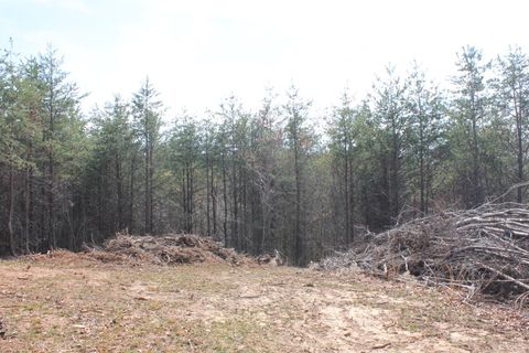 Tiny photo for 0 Summerset Road, Gretna, VA 24557 (MLS # 365331)