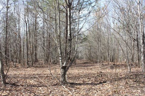 Tiny photo for 0 Summerset Road, Gretna, VA 24557 (MLS # 365331)