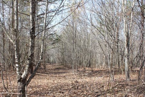 Tiny photo for 0 Summerset Road, Gretna, VA 24557 (MLS # 365331)
