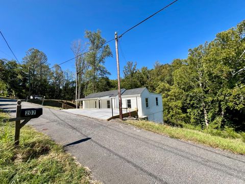 Tiny photo for 207 VES Road, Lynchburg, VA 24503 (MLS # 361870)