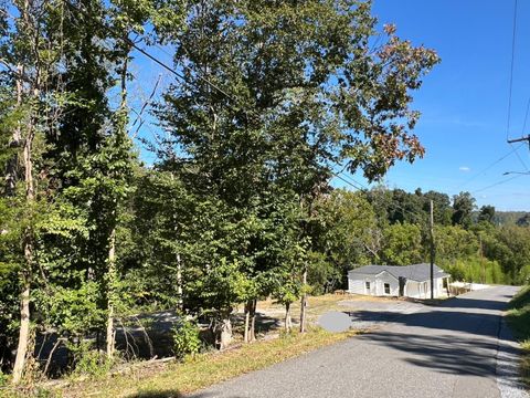 Tiny photo for 207 VES Road, Lynchburg, VA 24503 (MLS # 361870)