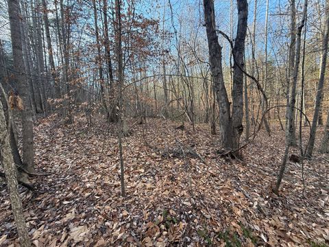 Tiny photo for 0 Lewis Ford Road, Brookneal, VA 24528 (MLS # 363903)