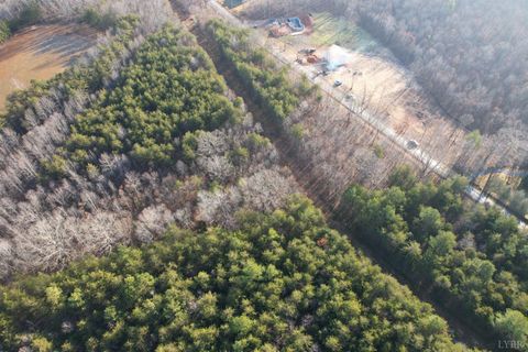 Tiny photo for 0 Lewis Ford Road, Brookneal, VA 24528 (MLS # 363903)