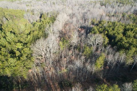 Tiny photo for 0 Lewis Ford Road, Brookneal, VA 24528 (MLS # 363903)