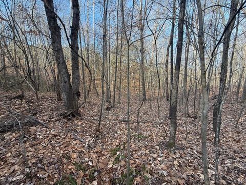 Tiny photo for 0 Lewis Ford Road, Brookneal, VA 24528 (MLS # 363903)