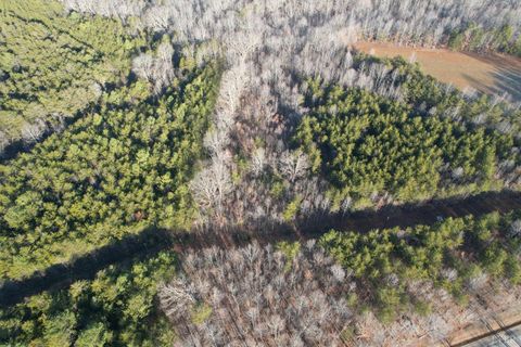 Photo of 0 Lewis Ford Road, Brookneal, VA 24528 (MLS # 363903)