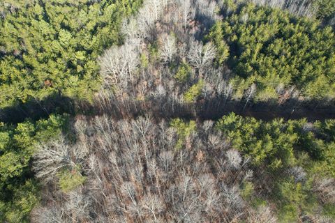 Tiny photo for 0 Lewis Ford Road, Brookneal, VA 24528 (MLS # 363903)