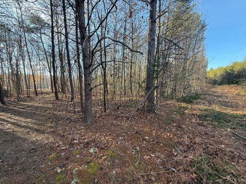 Tiny photo for 0 Lewis Ford Road, Brookneal, VA 24528 (MLS # 363903)