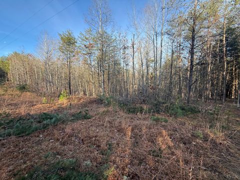 Tiny photo for 0 Lewis Ford Road, Brookneal, VA 24528 (MLS # 363903)