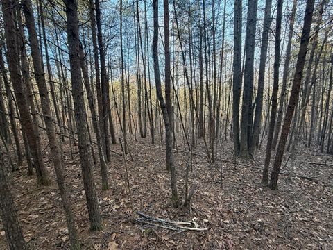 Tiny photo for 0 Lewis Ford Road, Brookneal, VA 24528 (MLS # 363903)