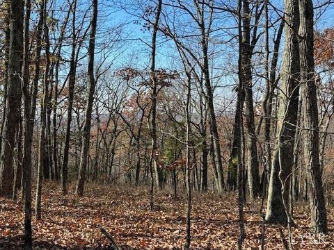 Tiny photo for 0 Kingswood Lane, Lynchburg, VA 24504 (MLS # 362552)