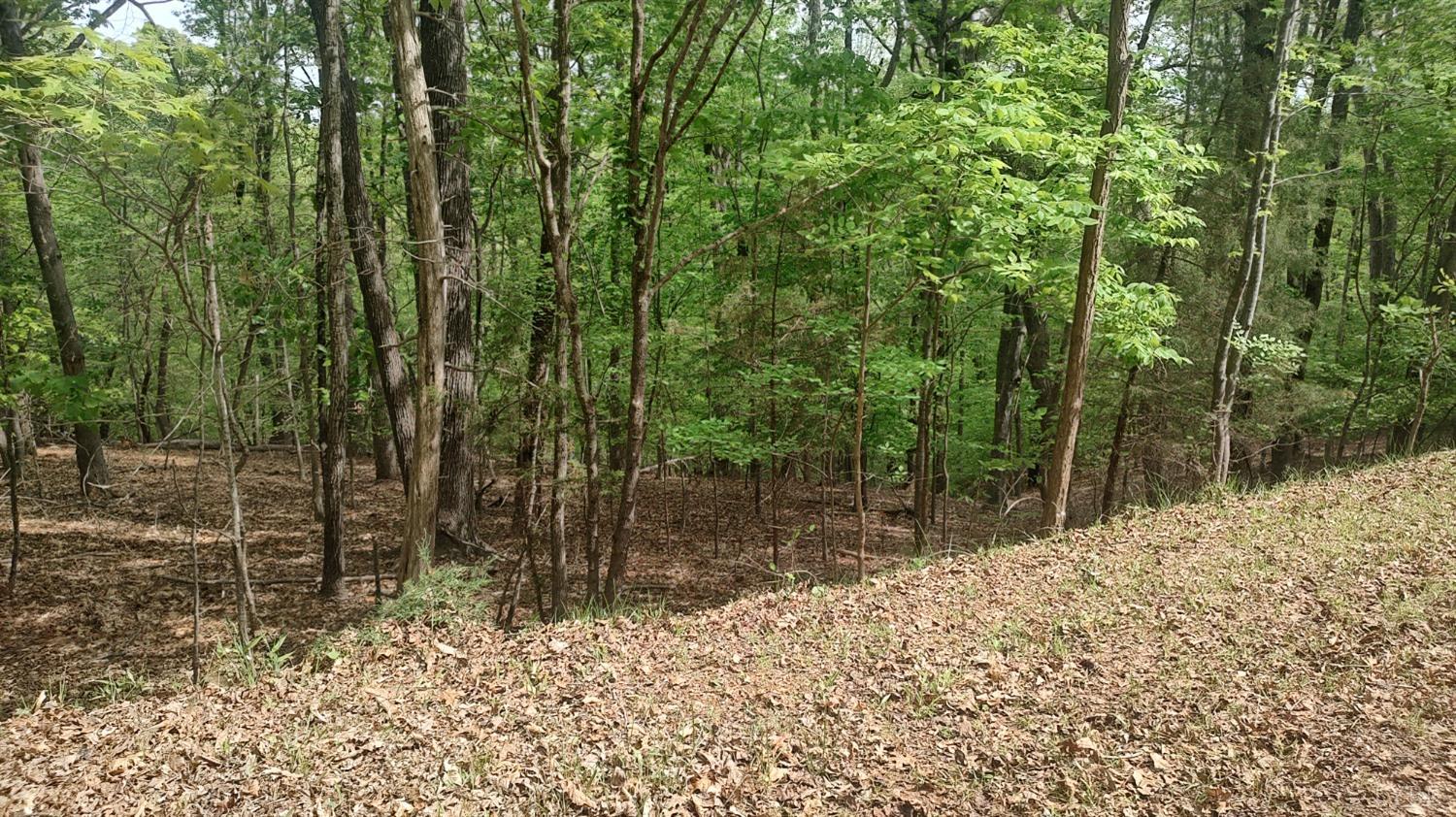 Shad Run Drive, Moneta, Virginia image 1