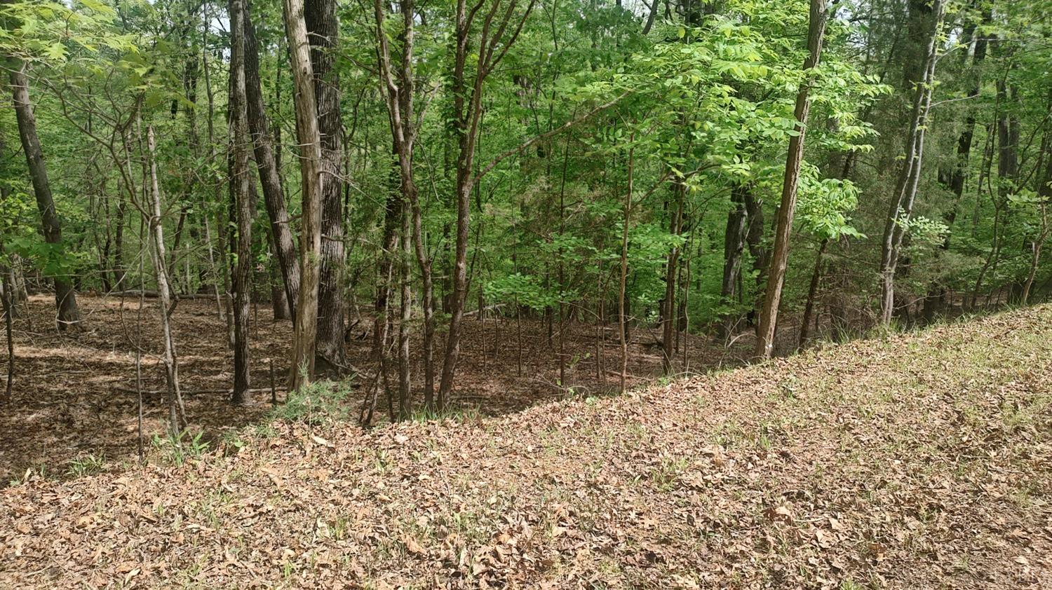 Shad Run Drive, Moneta, Virginia image 3