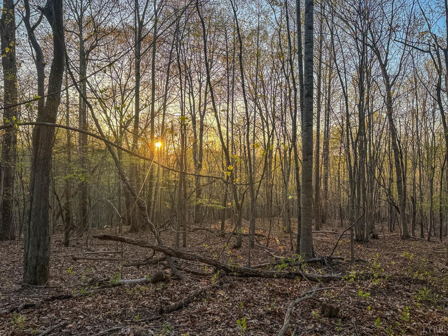 Monacan Park Rd, Madison Heights, Virginia image 19